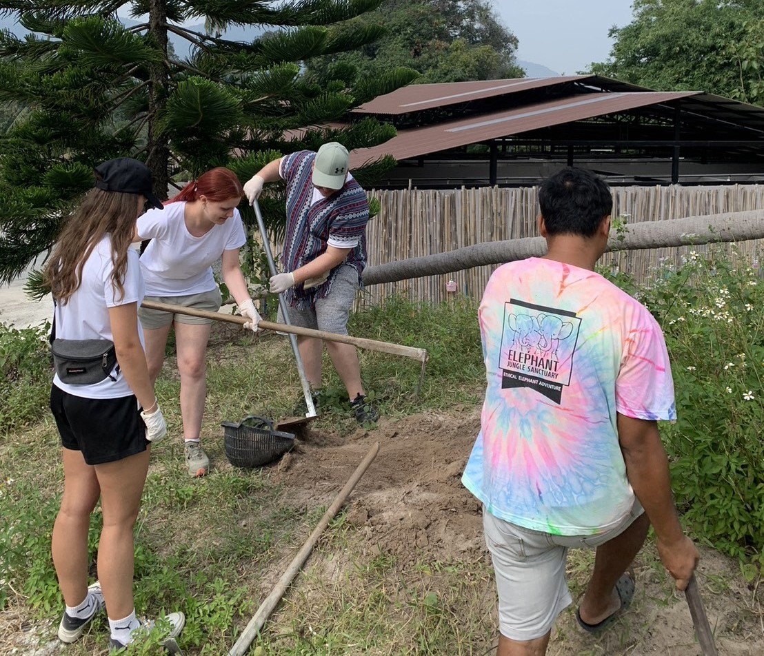 【タイ – サムイ島】アジアゾウ保護プログラムスケジュール画像