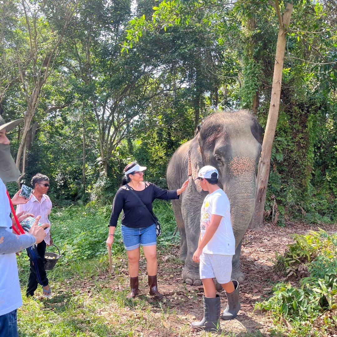 【タイ – サムイ島】アジアゾウ保護プログラムスケジュール画像