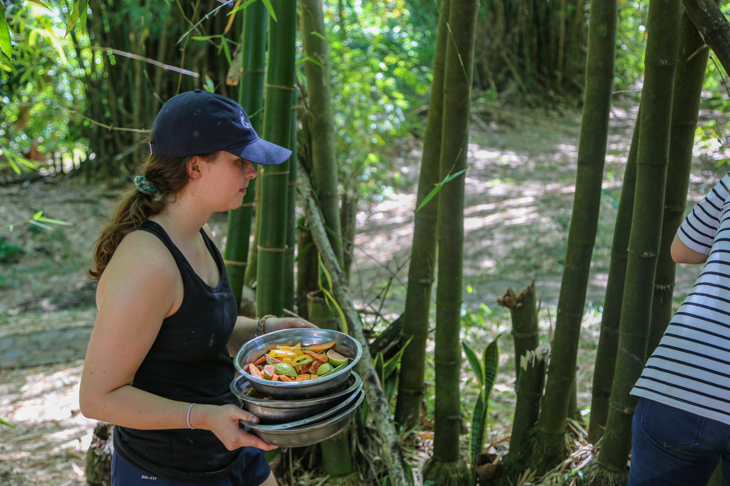 【マダガスカル】キツネザル保護プログラムスケジュール画像