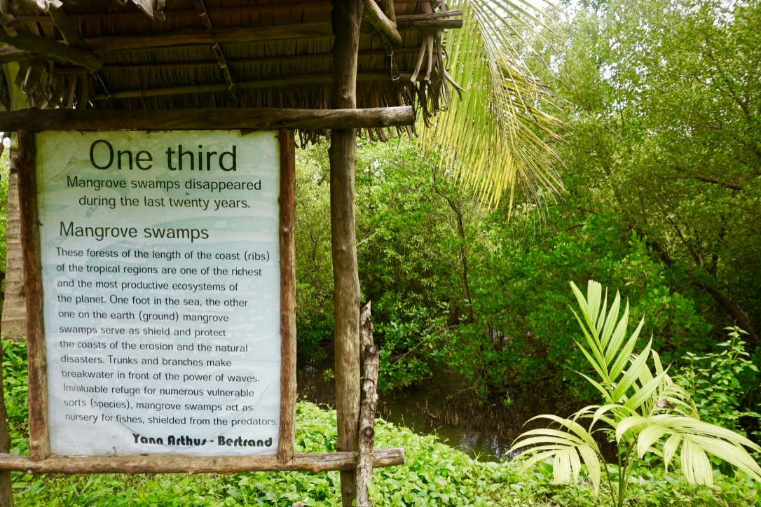 【マダガスカル】環境保護プログラムスケジュール画像