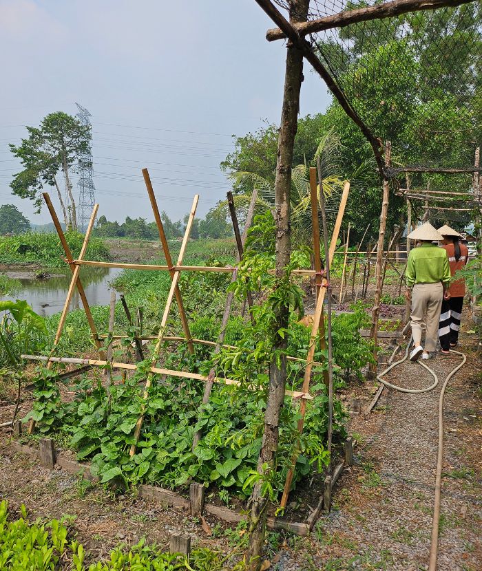 【ベトナム】農家支援プログラム