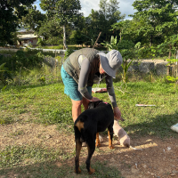 【フィリピン】野犬保護プログラム
