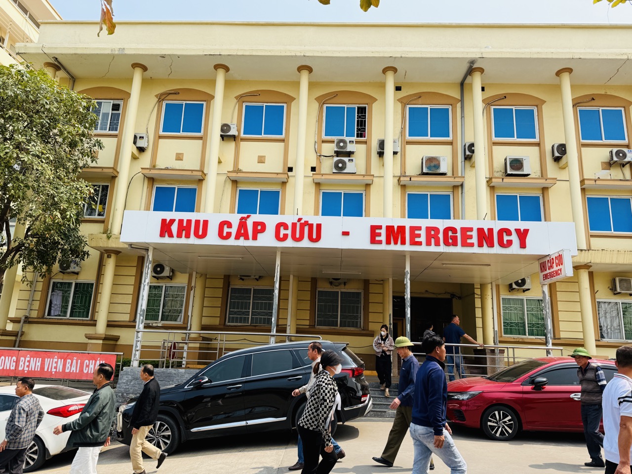 【ベトナム – ハロンベイ】ハロンベイ医療支援プログラム